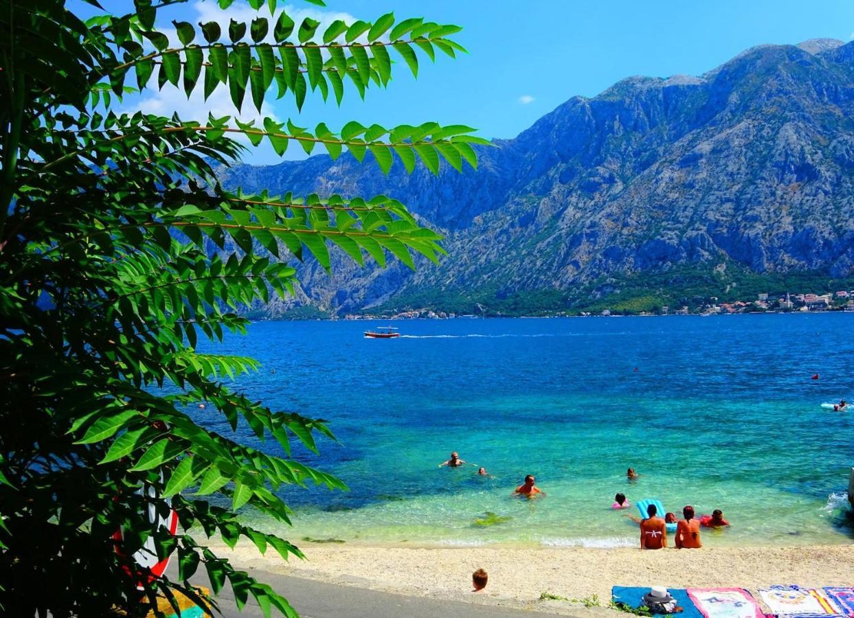 Blue Bay 2 Bedroom Apartment Prčanj Zewnętrze zdjęcie